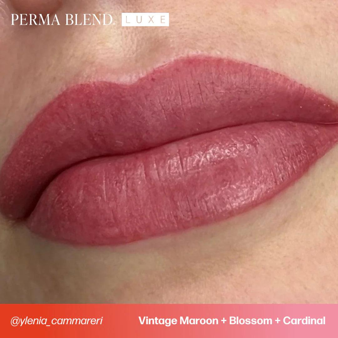 Perma Blend LUXE Cardinal - BVShop