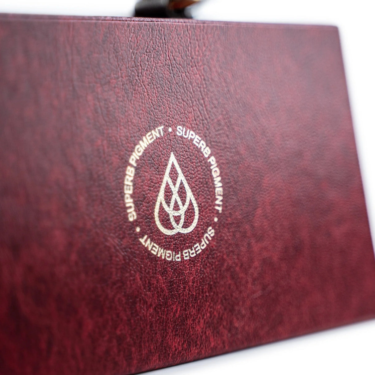 La collection de pigments pour lèvres The Pigment PMU (8×15ml)