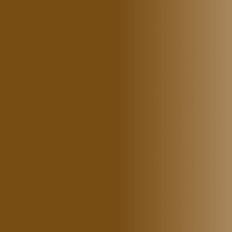 Swiss Color 203 Chocolate Brown Eyebrow Pigment - BVShop