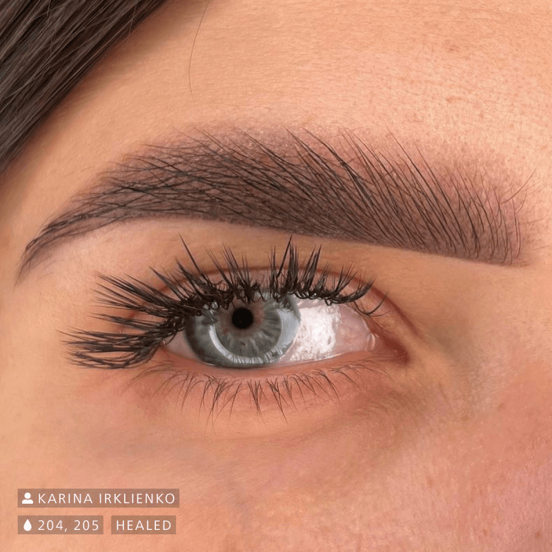 Swiss Color 205 Dark Brown Eyebrow Pigment - BVShop