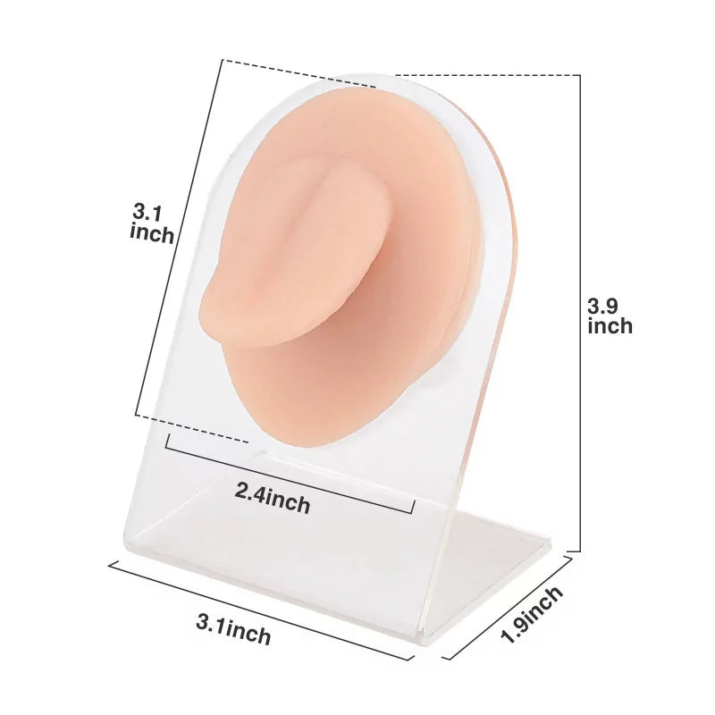 Modèle de piercing de langue en silicone
