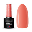 1-CLARESA-1