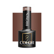OCHO NAILS Hybrid nail polish brown 807 -5 g - BVShop
