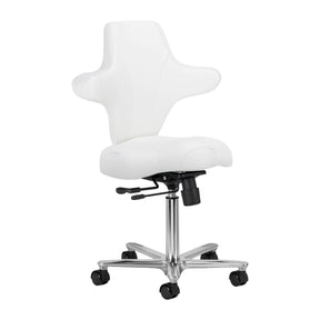Azzurro Special 152 Chaise De Travail – Blanche Neige · Vue générale