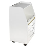 Szafka kosmetyczna BD-T601 white - BVShop