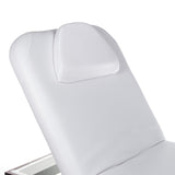 Massage chair electric BD-8263 in wenge - BVShop