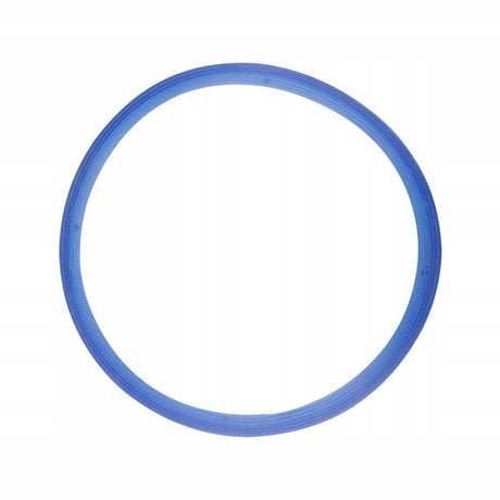 <text>Door gasket for autoclave SUN / SteamIT</text> - BVShop