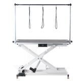 Electrical Grooming Table XL BP-305 White - BVShop