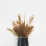 Fibres épaississantes pour cheveux Nanogen Cannelle