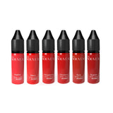 Pro Nouvelle Collection de Lèvres Par Intenze 6x15ml