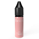 Pro Nouveau Pigments de Rouge à Lèvres Blush par Intenze Liv 15ml