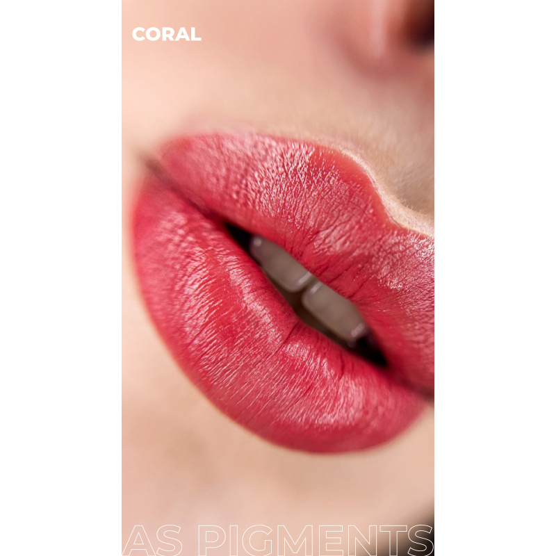 Ensemble de concentrés AS COMPANY (Pigments AS) 6pcs/6ml