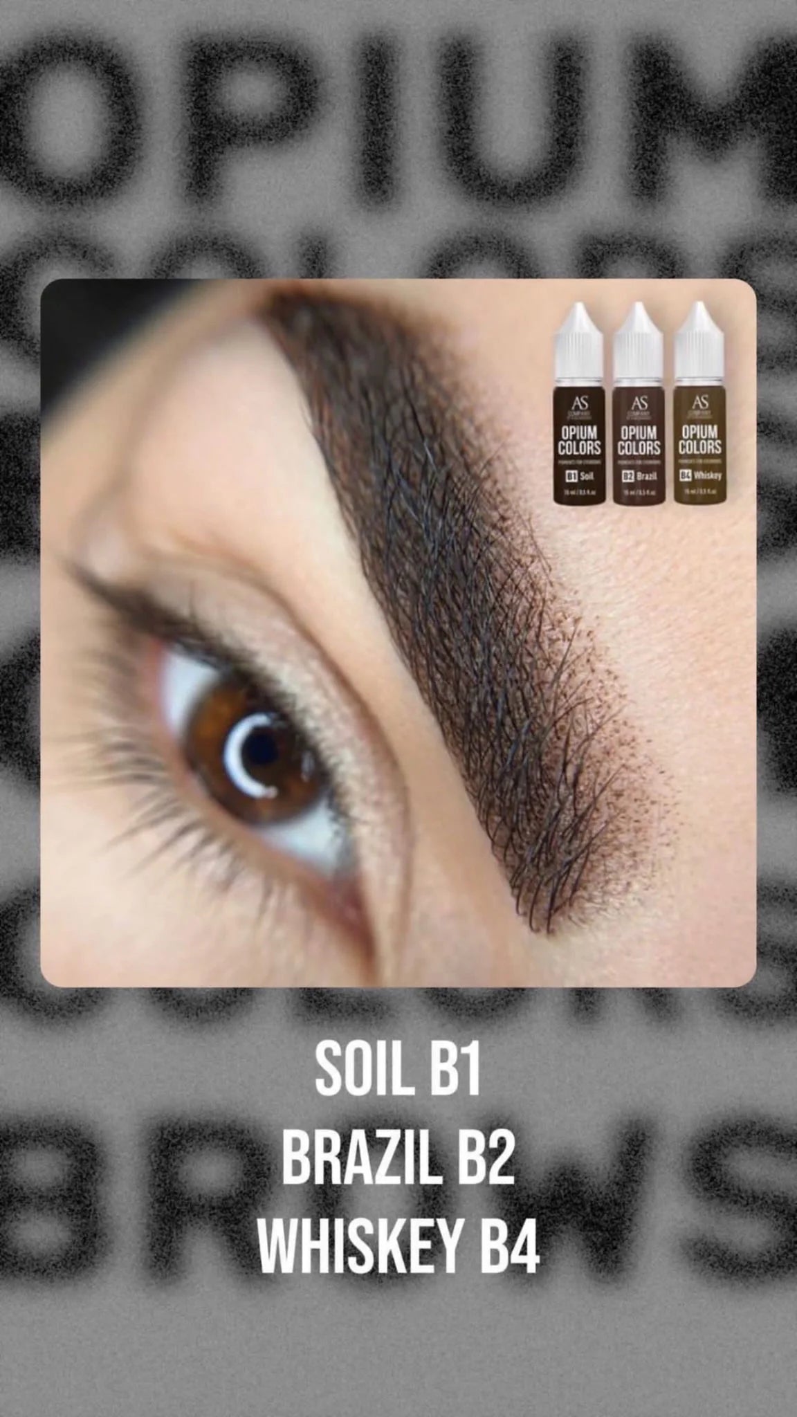 AS COMPANY B1-Soil (OPIUM COLORS) 6/15ml - BVShop