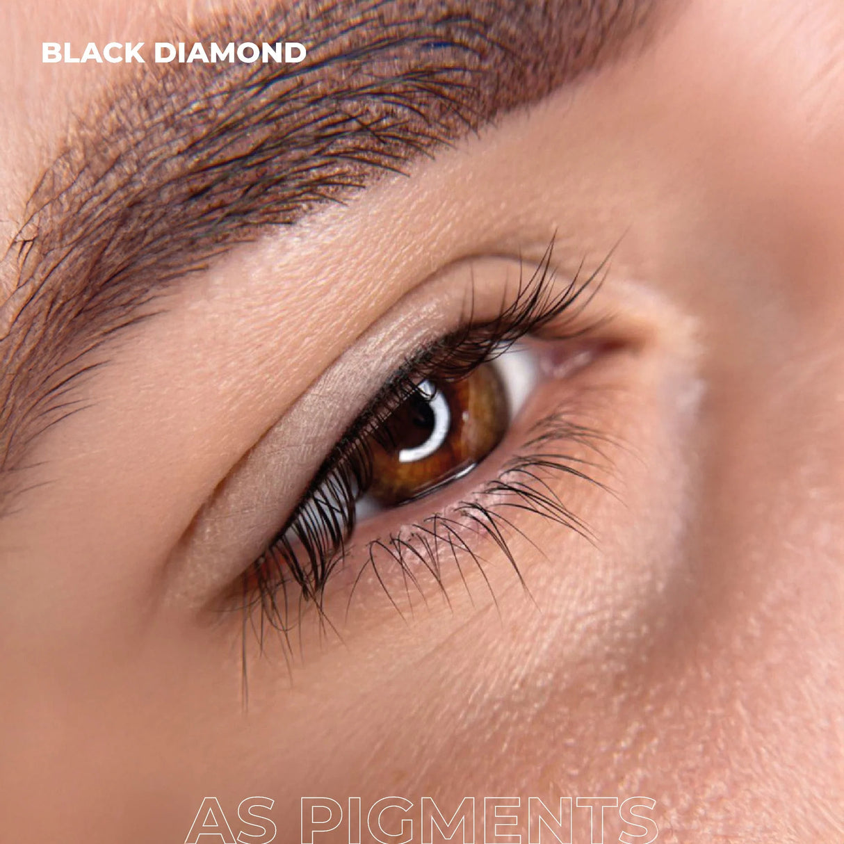 AS COMPANY Black Diamond (AS Pigments) 6/12ml