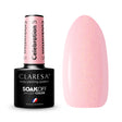 CLARESA Hybrid nail polish CELEBRATION 5 -5g - BVShop
