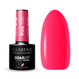 CLARESA Hybrid nail polish PINK 530 -5g - BVShop
