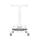 Comfort pedicure tray on wheels with lift function - BVShop