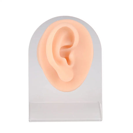 Ear Piercing Silicone Model - BVShop