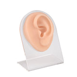 Modèle en silicone pour perçage d'oreille