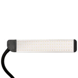 LED lamp for eyelashes and makeup polluks ii type msp-ld01 - BVShop