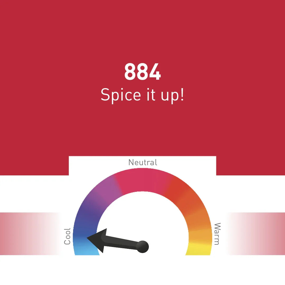 Nouveau Contour Fusion Line Lip Pigment 884-Spice It Up 10ml - BVShop