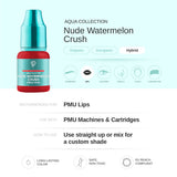 PhiAcademy PMU Aqua Nude Watermelon Crush Pigment 10ml – pigment shade and product information