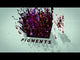 Li Pigments CHARGÉS Pigments de Sauge 15ml