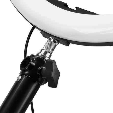 Ring lamp hanger - BVShop