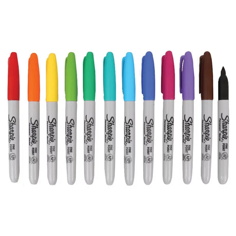 Set of 12 Sharpie permanent markers with colorful ink, featuring fine and chisel tips for versatile writing and coloring.