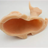 Tattooable Silicone Sphynx Cat - BVShop